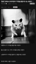 유튜브 프리미엄이 가격을 올릴 때 나는 외쳤다.jpg