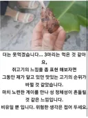 생전 처음 쥐 고기를 먹은 사람의 맛 평가.jpg