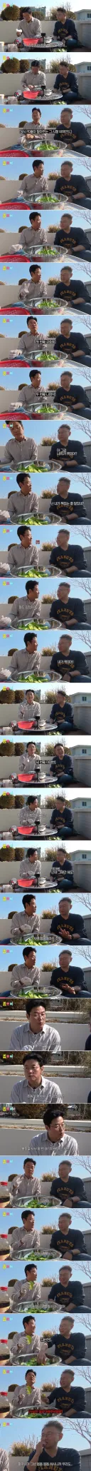 15년만에 밝혀지는 강호동 봄동비빔밥의 진실