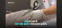 닭값 떨어지니 눈치보는 치킨업계..