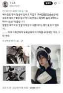 소전2)에이전트 코스어분께서 보신 실장 반응