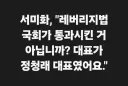 파렴치한 서미화 정당법 위반 허위사실공표 고발사건 고발인조사 안내