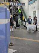 오늘 서울역에 나타난 슈퍼스타