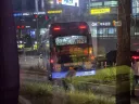 실시간) 결국 선을 넘어버린 서울 버스