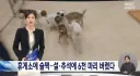 2020~2024 설, 추석 휴게소에 버려진 반려견 수