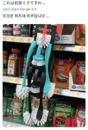 미쿠.jpg