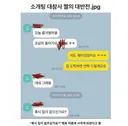 소개팅 센스 멘트임?