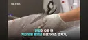현재) 닭 가격 떨어져서 난리난 치킨업계 ㄷㄷ.jpg