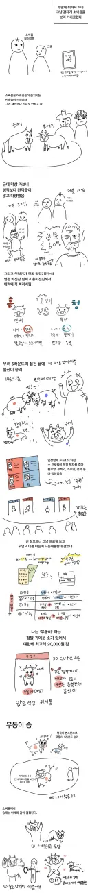 청도 소싸움 보러 간 후기manwha