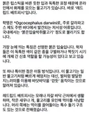 AI가 만든 거 아니고 실존하는 물고기