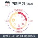 여자로 살며 평소엔 안 그러는데 내가 갑자기 이상하다고 느낄 때 확인하면 좋은 것