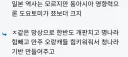 역사적 영향력은 조조보다 히데요시가 더 크다는 댓글
