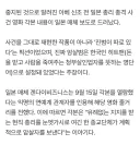 "조선인이다! 조선인이 아베 전총리를 쏴죽였다!"