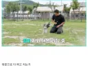 강형욱 역대급 주작 논란 뜸.jpg