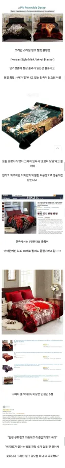 뜻밖의 한류