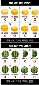 실패 없는 참외, 수박 고르는 팁