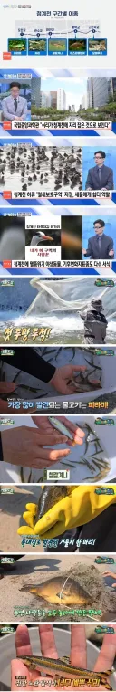 최근 청계천 근황