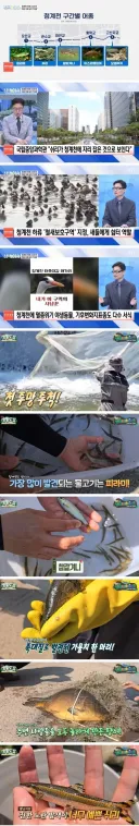 청계천 근황