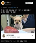 일본인 : 한국어 모르지만 좋은 영상이겠군