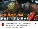 이클리피아 울버린 영상 썸네일