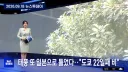 일본 도쿄, 22일째 비...