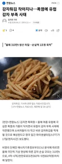 [뉴스]감자튀김 작아지나..폭염에 유럽 감자 부족 사태