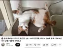 '여자 혼자 놀이기구 탔더니 생긴 일' 피해자 2차가해중인 남초
