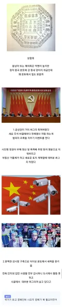 본토에서는 동네 양아치 취급 당하는 폭력조직