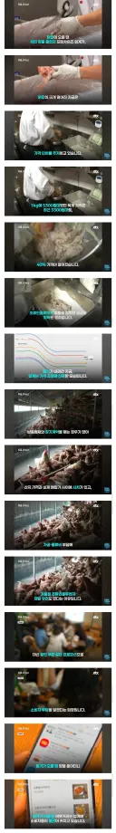 닭값 떨어져도 절대 치킨값 줄일 생각이 없는 치킨업계.