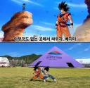 드래곤볼) 인적 없는곳에서 싸우자!! 베지터!!