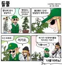 조선엘프) 들풀은 반려식물! 먹는것이 아닙니다!.manhwa