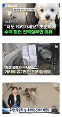 명절 연휴에 급증하는 참사
