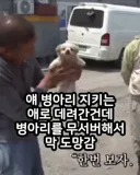 시장에서 만원 주고 사온 강아지