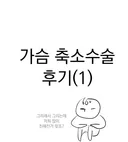 어느 웹툰 작가의 가슴 축소 수술 후기 만화