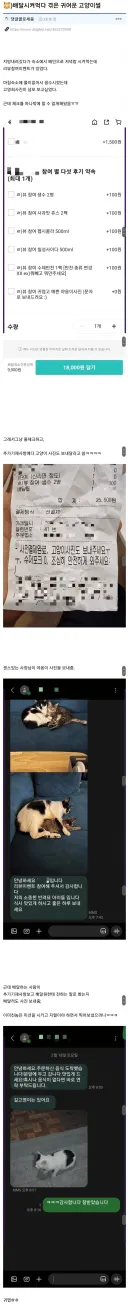 배달 시켰다가 겪은 귀여운 고양이썰