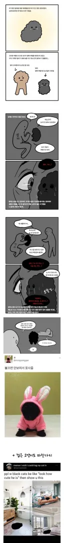 까만 강아지의 문제점