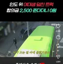 현재 인스타애서 여대생 친 트럭에 대한 갈리는 반응