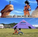 여수 박람회 근황