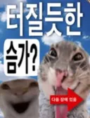 요즘 이런거 많이 보이던데 유행하는거임?