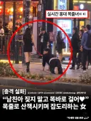 홍대 목줄녀 등장