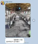 사료 몰래 먹다 들킨 돼지 표정.....JPG