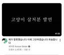 드디어 두손 두발 다 든 새덕후..