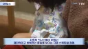 자폐 근황.jpg