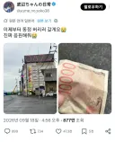 트위터 바벨탑이 또 하나의 알고 싶지 않던 타인의 개인 사정을 알려줬다