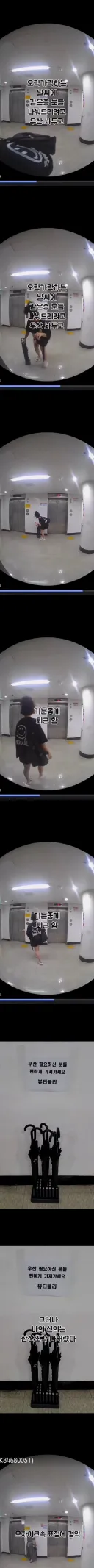 인류애 박살나는 우산 나눔