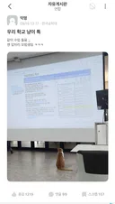 우리 학교 냥이 특