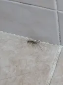 똥 싸다가 비명 지름