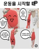 운동할 때 부위별 근육 특징
