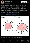 트릭컬)만약.. 트릭컬에서 착상표현을 한다면