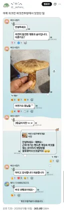 채팅방 잘못 찾아온 버섯수집가